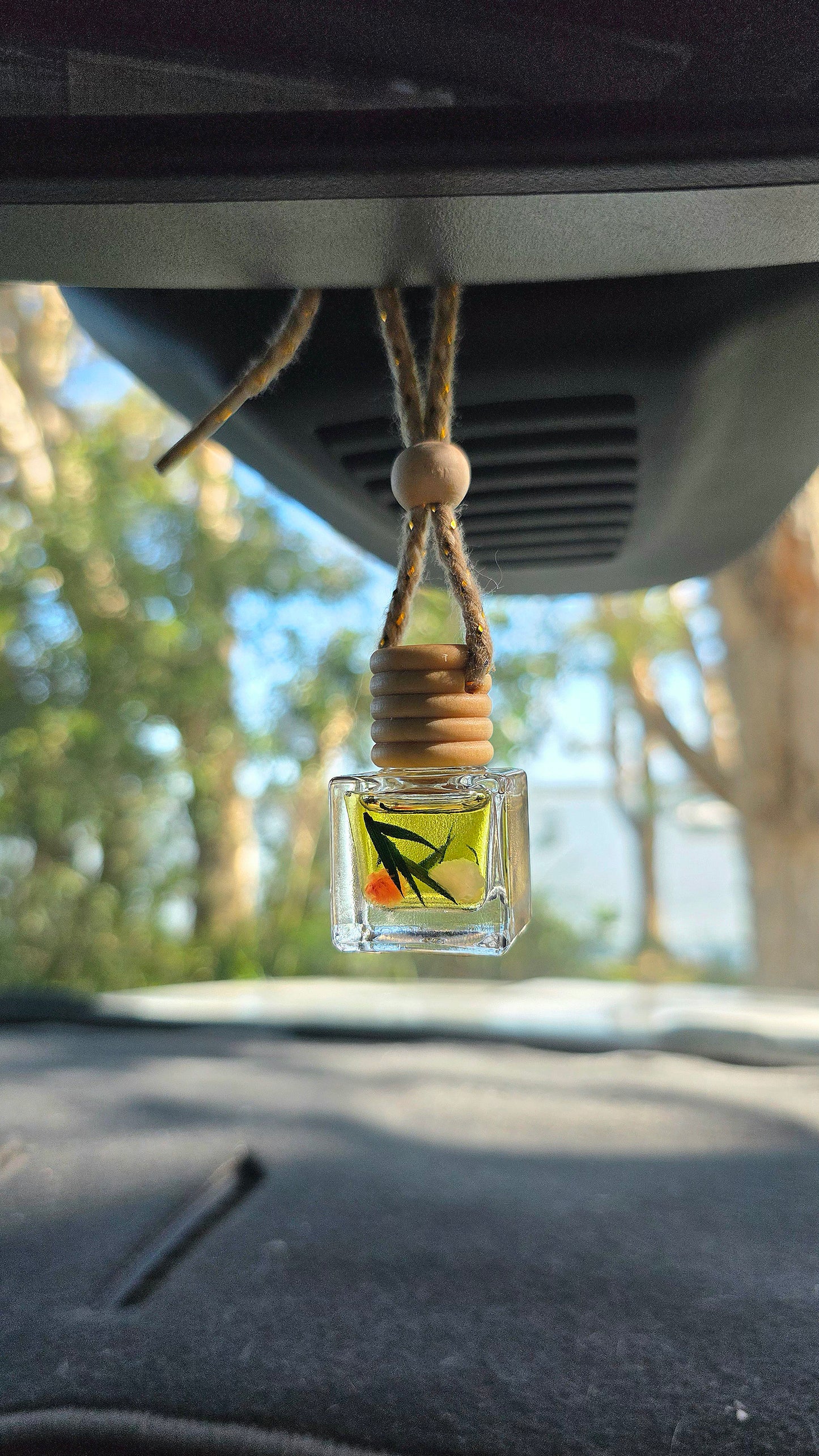 Botanical car diffuser